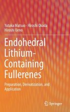 Endohedral Lithium-containing Fullerenes