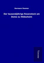 Der tausendjährige Rosenstock am Dome zu Hildesheim