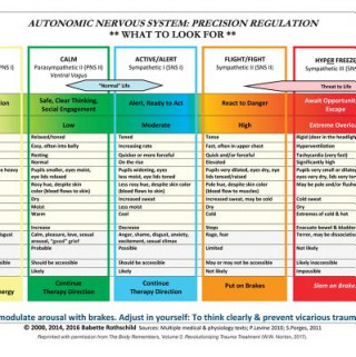 Autonomic Nervous System Table: Wall Poster
