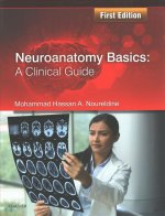 Neuroanatomy Basics: A Clinical Guide