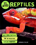 In Focus: Reptiles