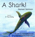 Shark! Named Jamison