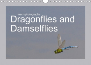 Macrophotography Dragonflies and Damselflies 2018