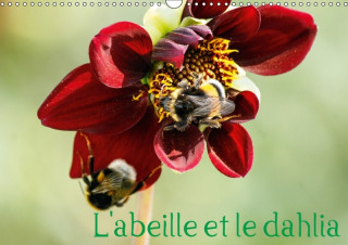 L'Abeille Et Le Dahlia 2018