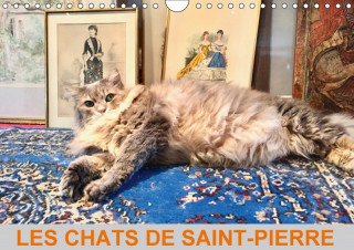 Chats De Saint-Pierre 2018