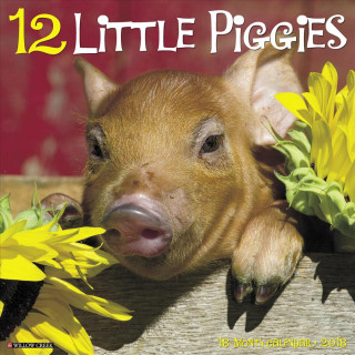 12 Little Piggies 2018 Wall Calendar