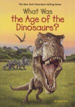 WHAT WAS THE AGE OF THE DINOSA