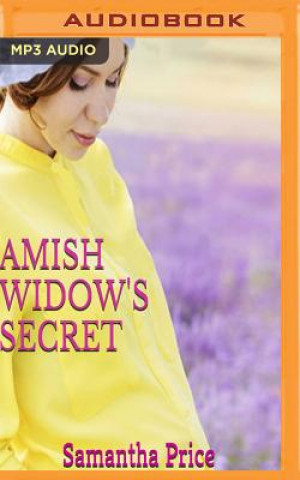 Amish Widow's Secret