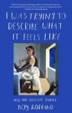 I Was Trying to Describe What It Feels Like: New and Selected Stories