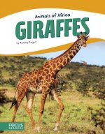 Giraffes