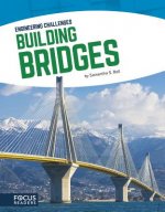 Engineering Challenges: Building Bridges