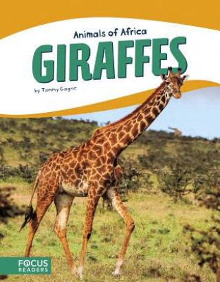 Animals of Africa: Giraffes