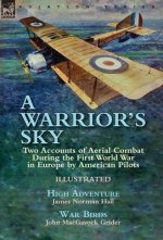 Warrior's Sky