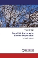 Dendritic Patterns in Electro-Deposition