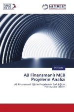 AB Finansmanli MEB Projelerin Analizi