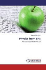 Physics from Bits