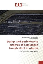 Design and performance analysis of a parabolic trough plant in Algeria