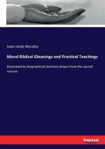 Moral Biblical Gleanings and Practical Teachings