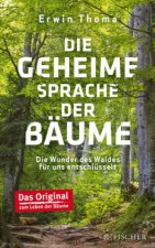 Die geheime Sprache der Bäume