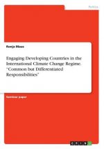 Engaging Developing Countries in the International Climate Change Regime. 