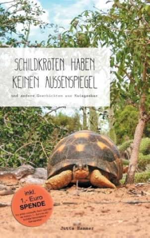 Schildkröten haben keinen Außenspiegel