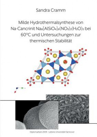 Milde Hydrothermalsynthese von Na-Cancrinit Na8[AlSiO4]6(NO3)2(H2O)4 bei 60  DegreesC und Untersuchungen zur thermischen Stabilitat