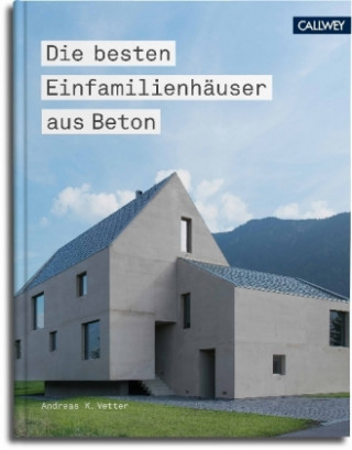 Die besten Einfamilienhäuser aus Beton