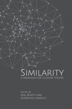 Similarities - A Paradigm for Culture Theory