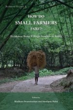 How Do Small Farmers Fare? - Evidence from Village Studies in India