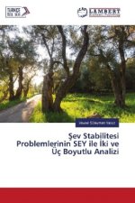 Sev Stabilitesi Problemlerinin SEY ile ki ve Üç Boyutlu Analizi