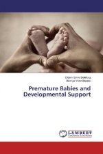 Premature Babies and Developmental Support