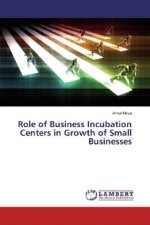 Role of Business Incubation Centers in Growth of Small Businesses