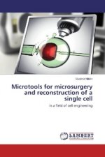 Microtools for microsurgery and reconstruction of a single cell