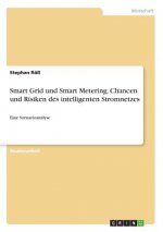 Smart Grid und Smart Metering. Chancen und Risiken des intelligenten Stromnetzes