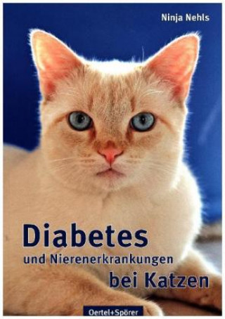 Diabetes und Nierenerkrankungen bei Katzen