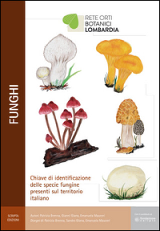 Funghi. Chiave di identificazione delle specie fungine presenti nel territorio italiano