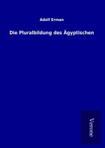 Die Pluralbildung des Ägyptischen
