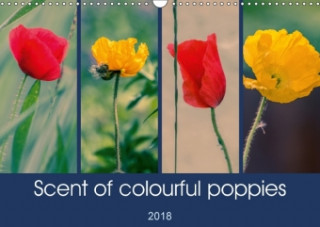 Scent of Colourful Poppies 2018