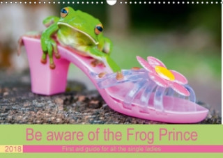 Be Aware of the Frog Prince 2018