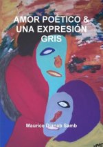Amor Poetico & UNA Expresion Gris