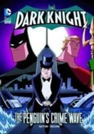 Dark Knight Pack B of 4