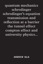 quantum mechanics schrodinger schrodinger's equation transmission and reflection at a barrier the tunnel effect compton effect and university physics