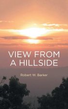 View from a Hillside