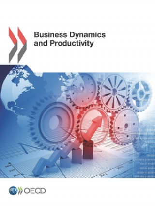 Business dynamics and productivity