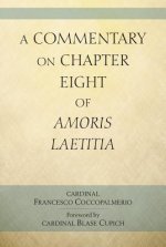 Commentary on Chapter 8 of Amoris Laetitia