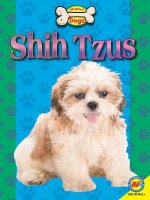 Shih Tzus