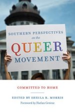 Southern Perspectives on the Queer Movement