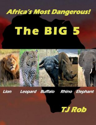 Africa's Most Dangerous - The Big 5