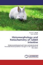 Histomorphology and histochemstry of rabbit intestine