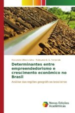 Determinantes entre empreendedorismo e crescimento econômico no Brasil